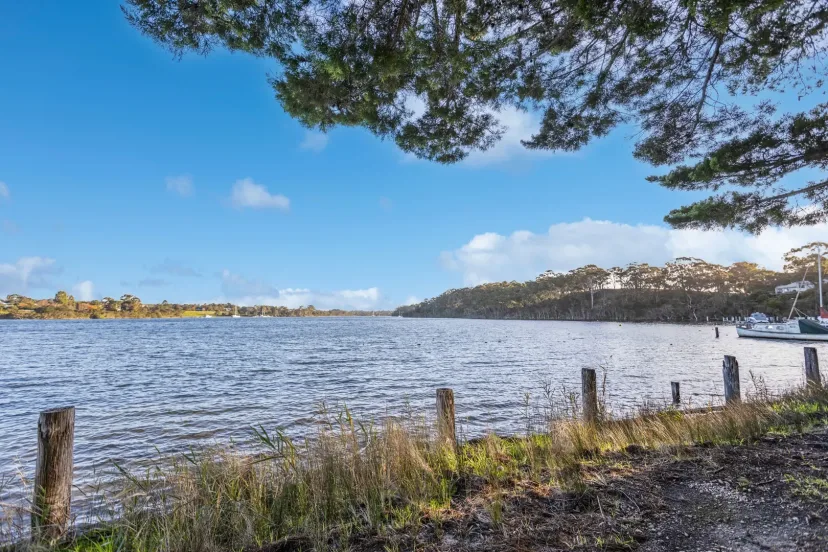 The Gippsland Lakes seen through the trees, with old jetty posts along the shore